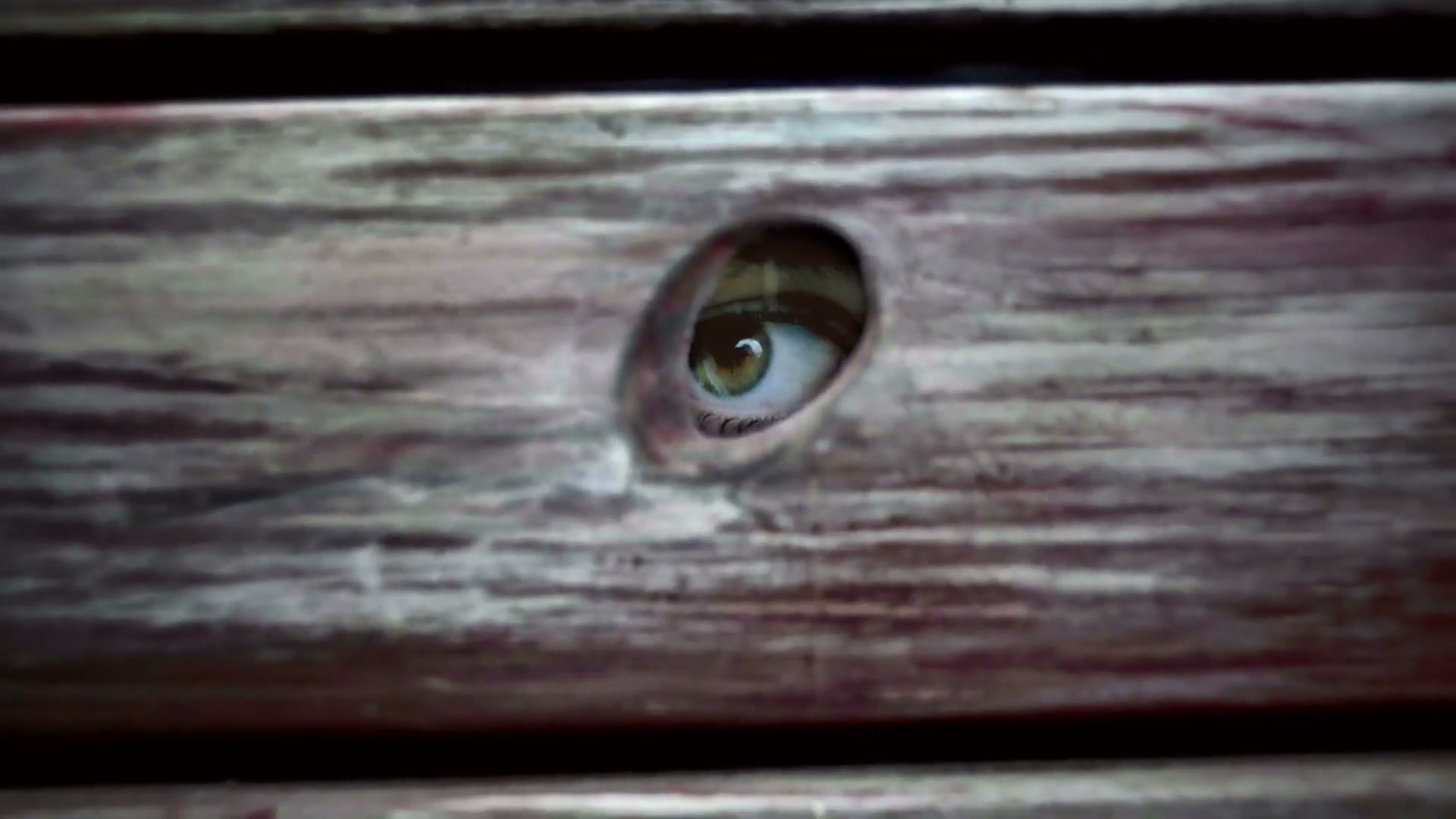 Film still from Land Rover commercial